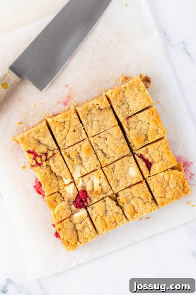 White Chocolate Raspberry Bliss Bars 11 Blondies cut into squares