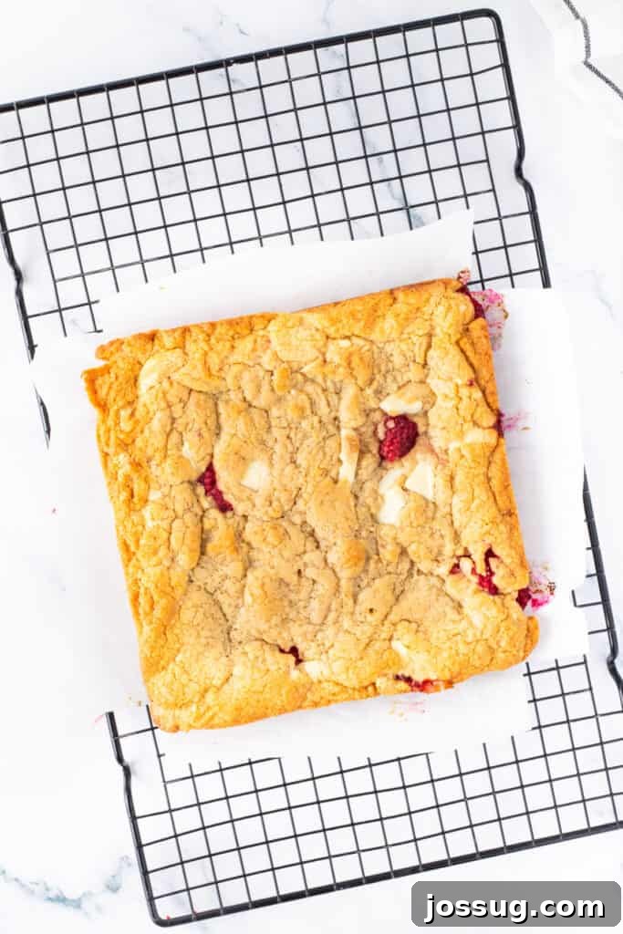 White Chocolate Raspberry Bliss Bars 10 Baked blondies resting