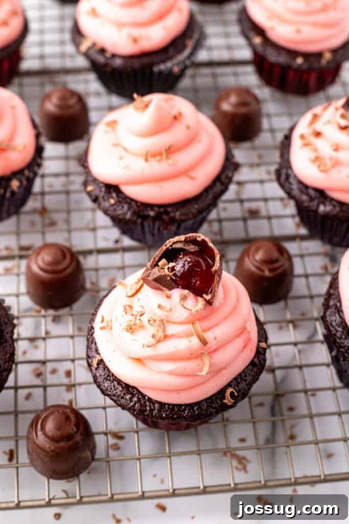 Overhead view of frosted chocolate cupcakes with pink frosting and cherry cordial candies