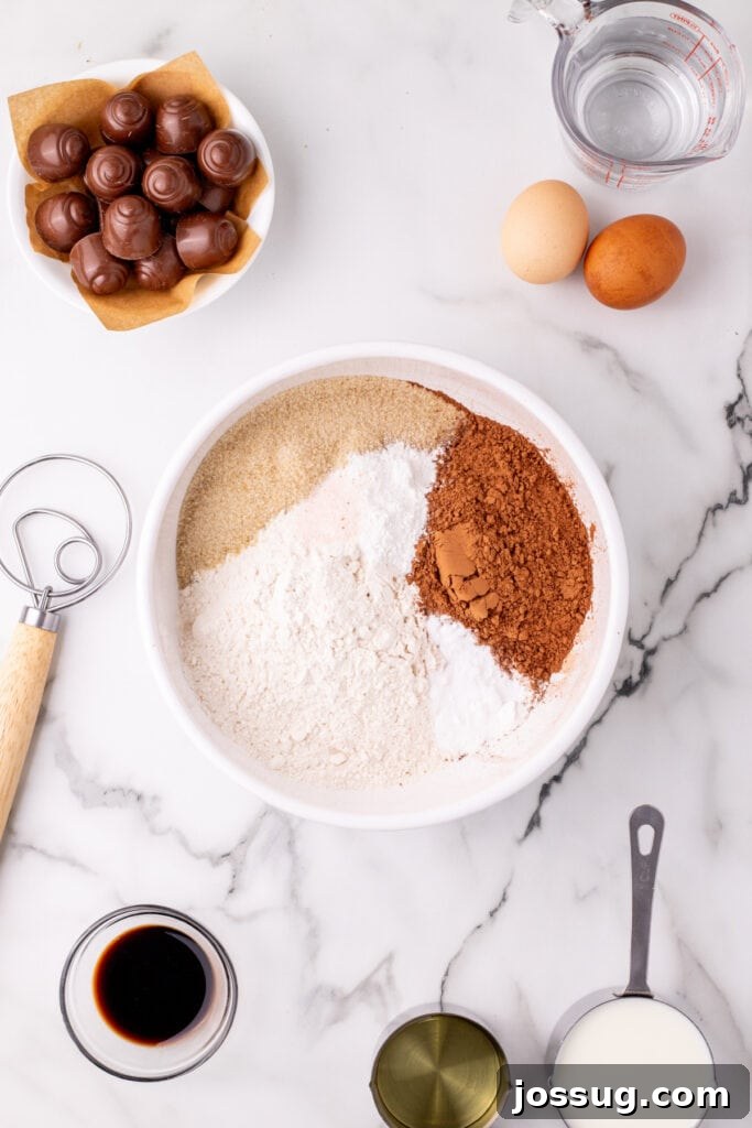 Overhead view of measured dry ingredients in a bowl