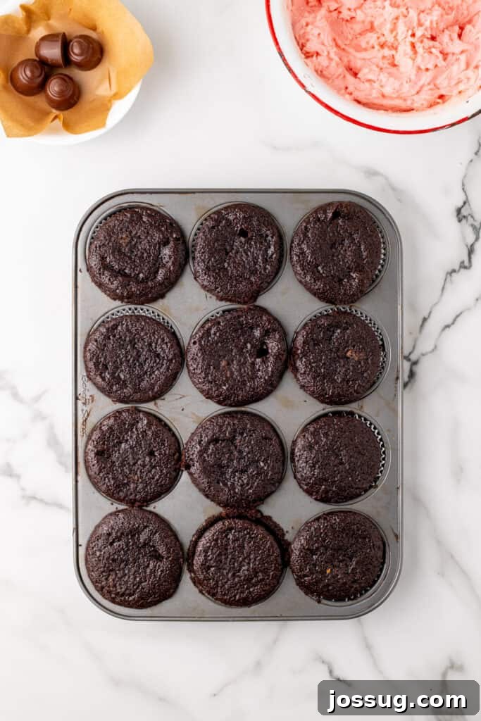 Overhead view of baked chocolate cupcakes cooling in a muffin pan