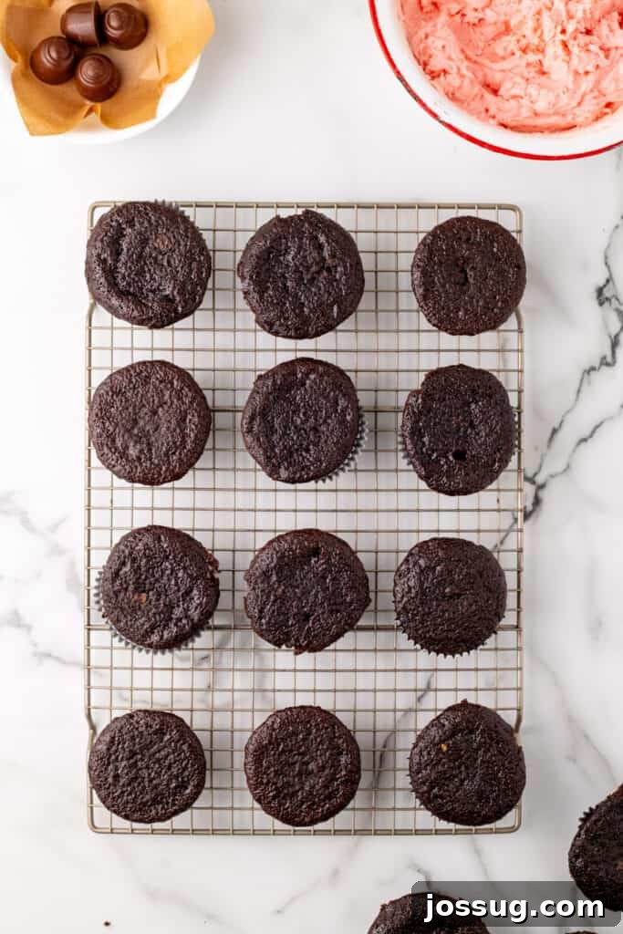 Overhead view of baked chocolate cupcakes cooling on a wire rack