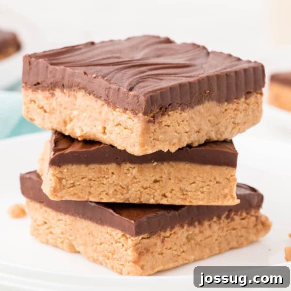 Chocolate Peanut Butter Bars