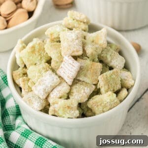Pistachio Puppy Chow 15 Pistachio Muddy Buddies