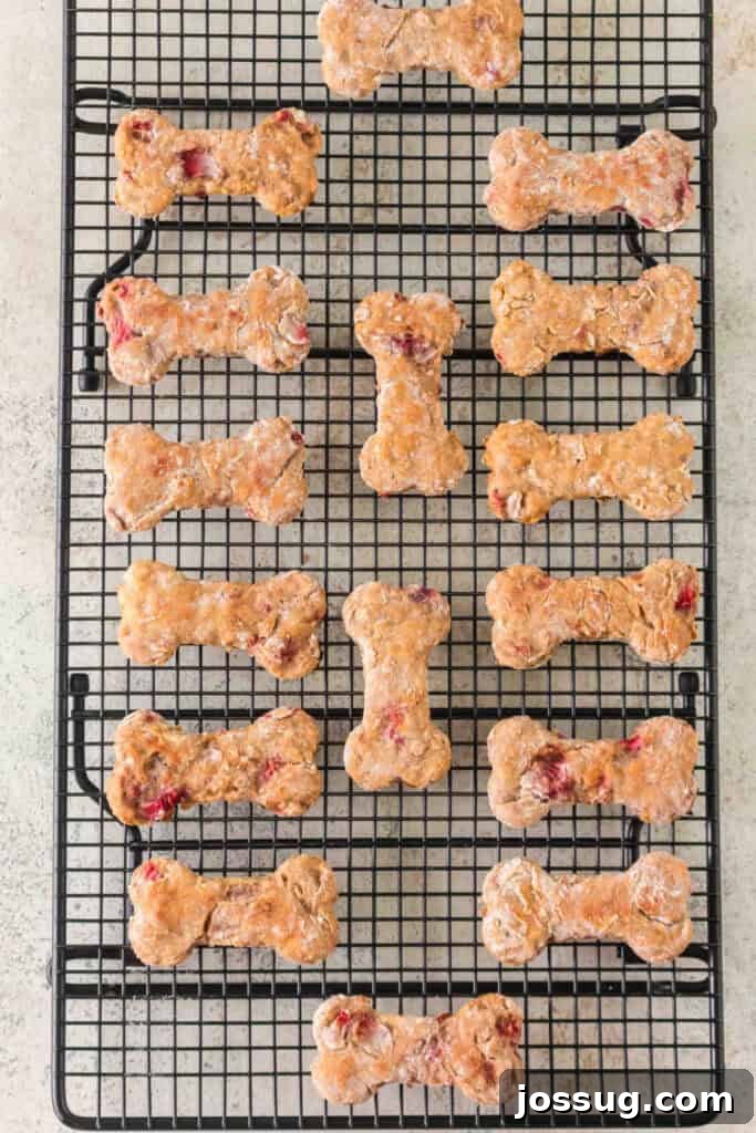 baked strawberry banana dog treats shaped like bones cooling on a wire rack