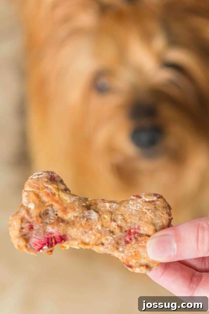 Hand holding a Strawberry Banana Dog Treat, with a dog blurred in the background.