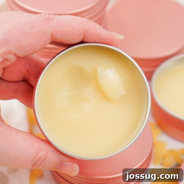 Close-up of a hand holding a tin of dog paw balm with a creamy, smooth surface.