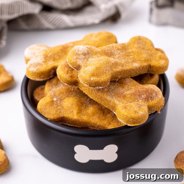 Square image of pumpkin dog treats stacked in a black bowl with bone design.