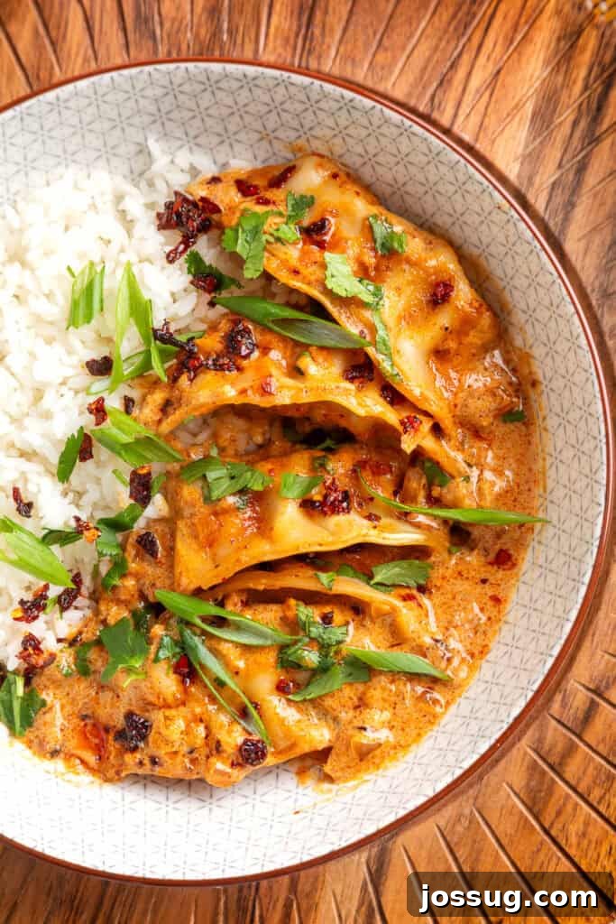 Close-up of baked curry dumplings in coconut curry sauce with rice, green onions, cilantro, and chili crunch