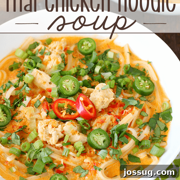 Spicy Thai Chicken Noodle Soup in a white bowl.