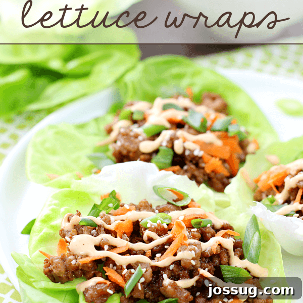 Asian Pork Lettuce Wraps on a white plate.