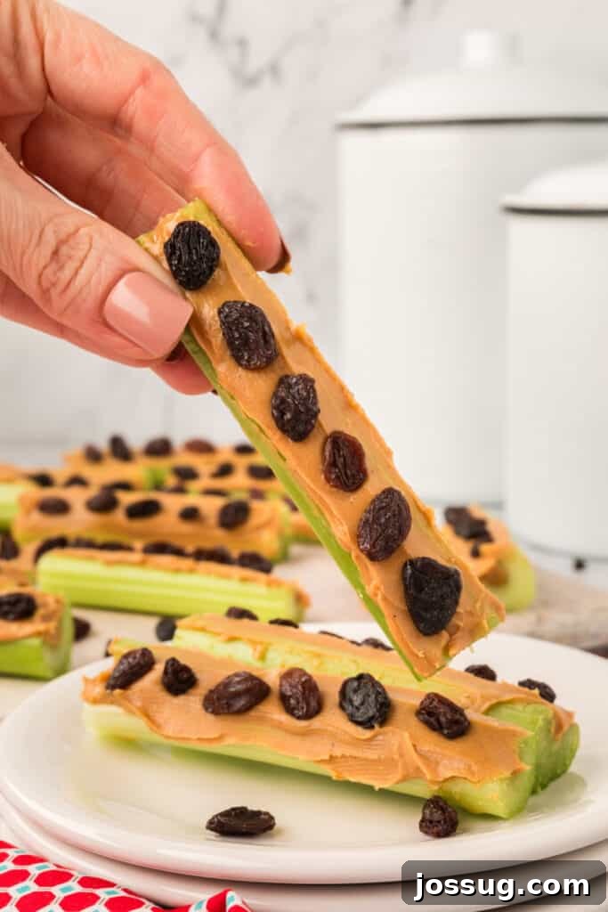 Ants on a Log: A Fun & Healthy Snack for Kids 2 Hand holding a celery stick topped with peanut butter and raisins over a plate of Ants on a Log