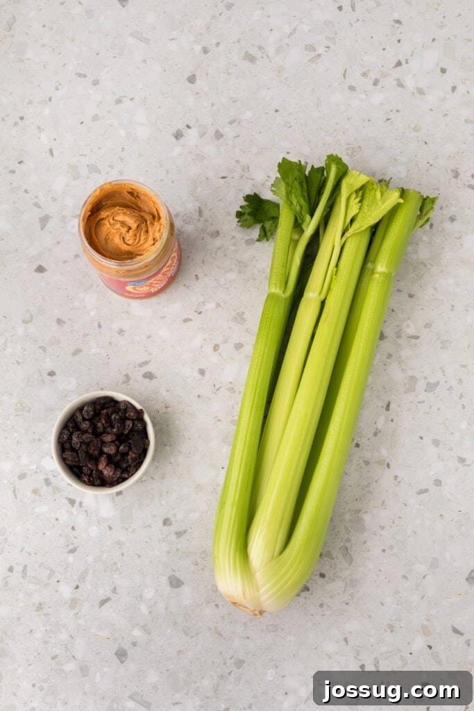 Ants on a Log: A Fun & Healthy Snack for Kids 3 Whole celery stalks on a countertop with a jar of peanut butter and a small bowl of raisins