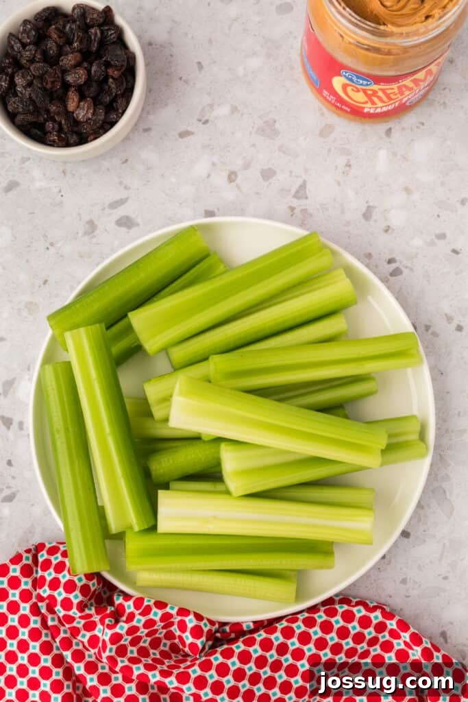 Ants on a Log: A Fun & Healthy Snack for Kids 5 Cut celery pieces arranged on a plate with raisins and peanut butter nearby