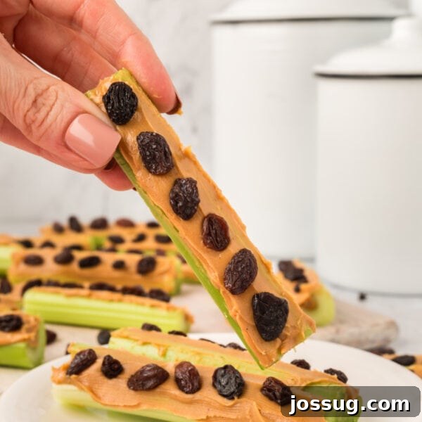 Ants On A Log Recipe