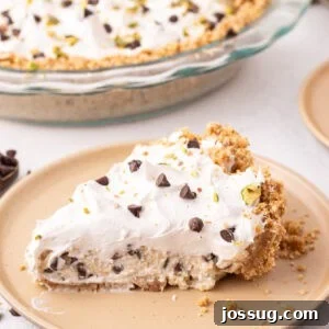 square cropped image of a slice of no bake cannoli pie on a plate with whipped topping, chocolate chips, and pistachios