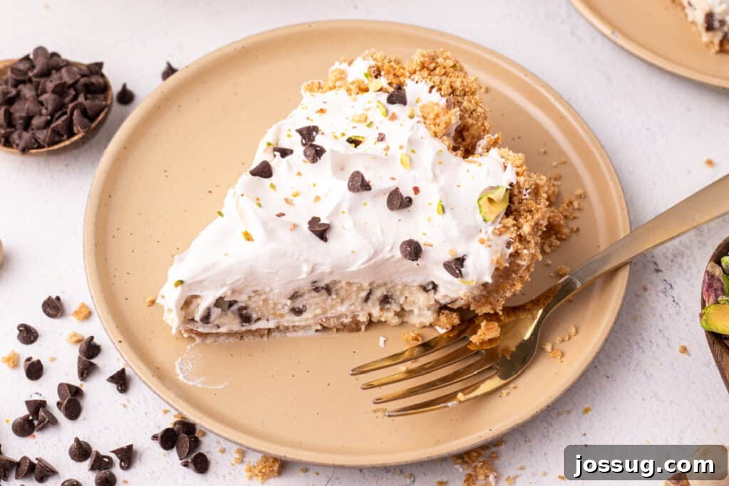 Dreamy No Bake Cannoli Pie with Ricotta and Chocolate Chips 4 close cropped view of a slice of no bake cannoli pie focusing on the filling and crust texture
