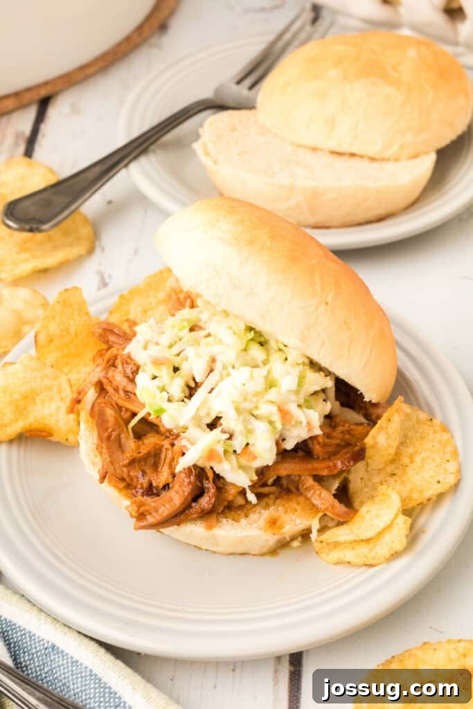 close up of pulled pork sandwich with coleslaw on a homemade onion roll with potato chips