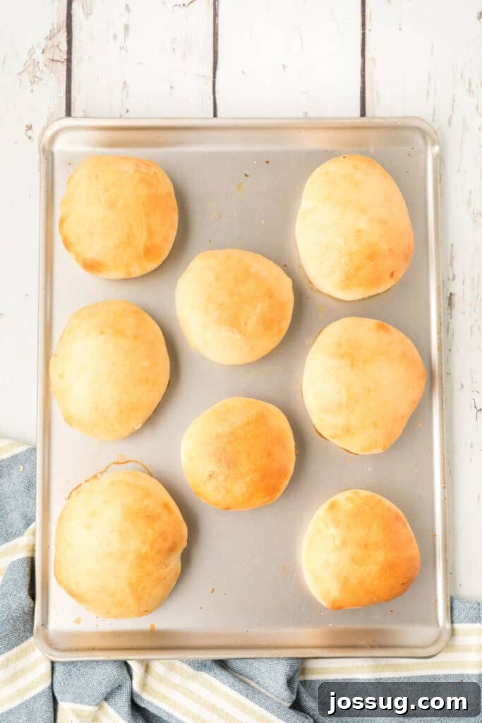 baked homemade onion rolls on a baking sheet with golden brown tops