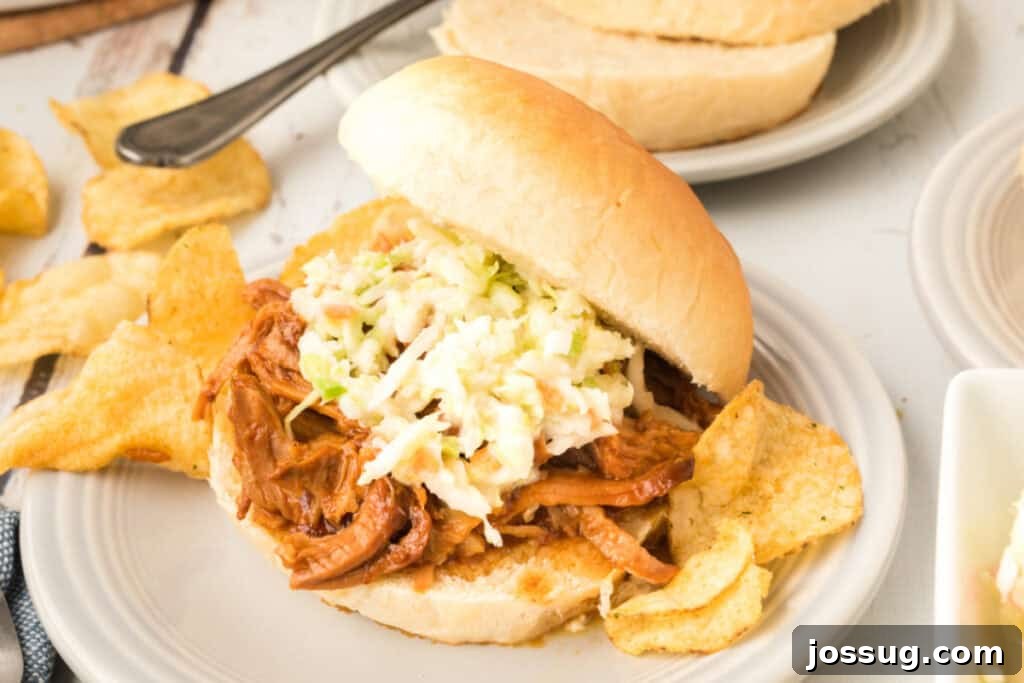 pulled pork sandwich with coleslaw on a homemade onion roll served with potato chips