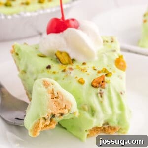 A square image of a beautifully presented slice of No Bake Pistachio Cream Pie, adorned with a dollop of whipped cream and a cherry on top.