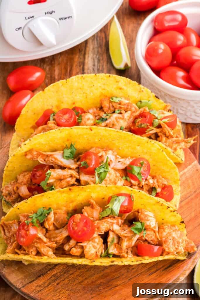 Crockpot Shredded Chicken Tacos Recipe for Busy Weeknights 2 Crockpot Shredded Chicken Tacos topped with chopped tomatoes and cilantro in crispy taco shells