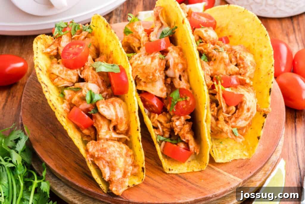 Crockpot Shredded Chicken Tacos Recipe for Busy Weeknights 4 Close-up of Crockpot Shredded Chicken Tacos filled with shredded chicken, tomatoes, and cilantro
