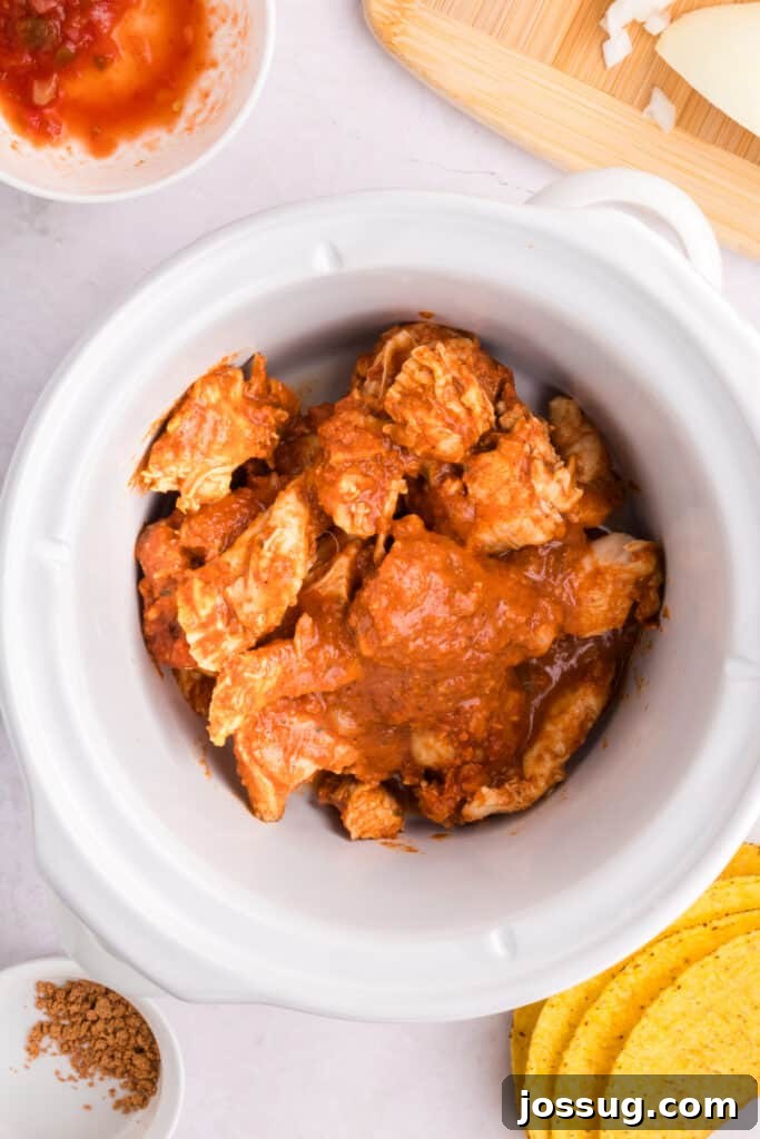 Crockpot Shredded Chicken Tacos Recipe for Busy Weeknights 8 Cooked chicken with salsa and taco seasoning in a slow cooker before shredding for Crockpot Shredded Chicken Tacos