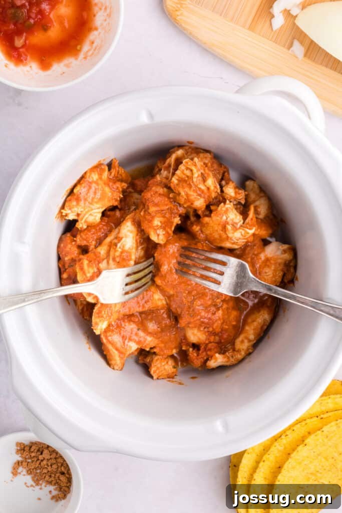 Crockpot Shredded Chicken Tacos Recipe for Busy Weeknights 9 Forks shredding cooked chicken in the slow cooker for Crockpot Shredded Chicken Tacos