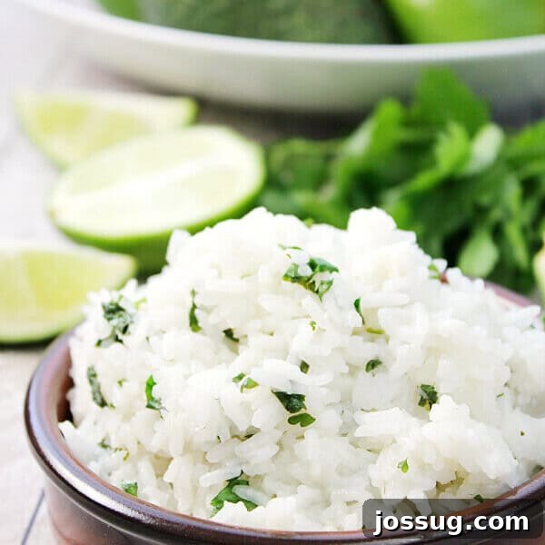 Ranchero Pinto Beans with Bacon — Flavorful Skillet Recipe 18 Cilantro Lime Rice in a brown bowl, close up to show texture.
