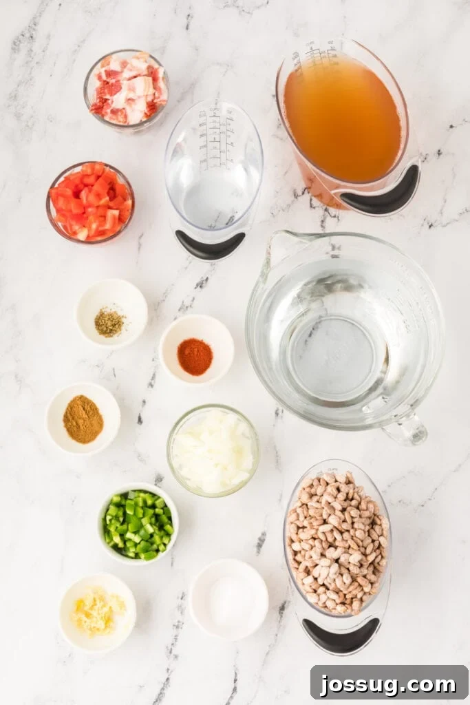 Ranchero Pinto Beans with Bacon — Flavorful Skillet Recipe 3 Ingredients for Ranchero Beans including pinto beans, bacon, broth, tomatoes, onion, jalapeño, and spices on a marble surface