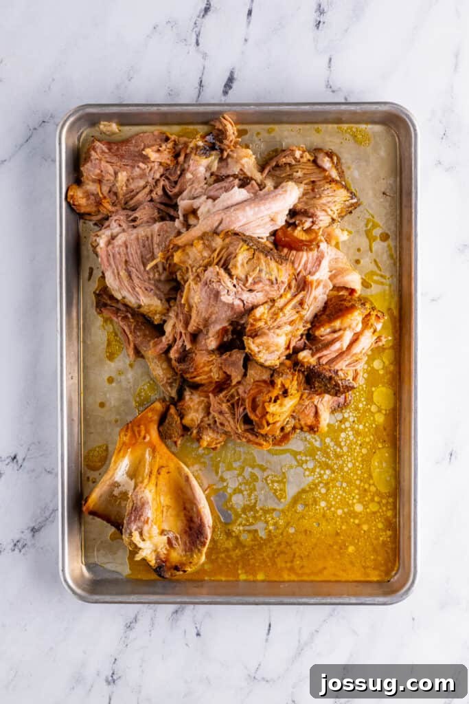 Cooked pork shoulder and bone on baking sheet for Slow Cooker Carnitas