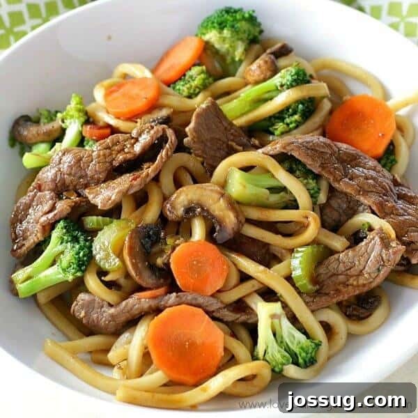 Dinner is delicious AND easy when this Hoisin Beef Noodle Stir Fry recipe is on the menu!