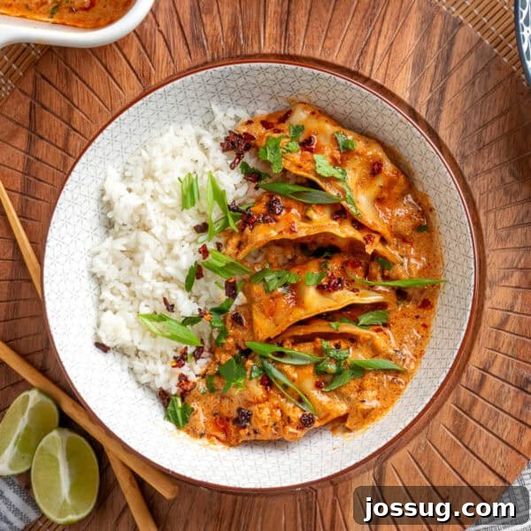 plated baked curry dumplings with rice topped with green onions, cilantro, and chili crunch