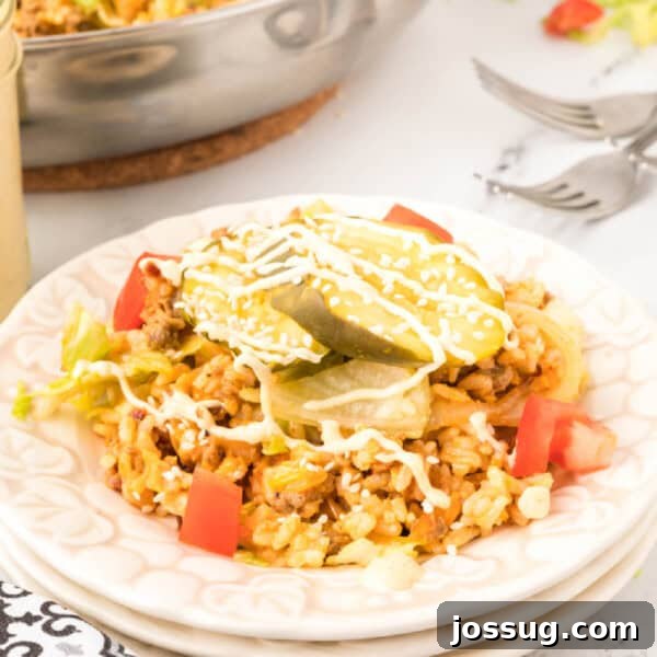 portion of cheeseburger fried rice on plate