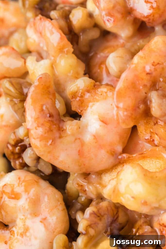 Crispy Honey Walnut Shrimp Recipe: Restaurant-Style at Home 21 Close-up of Honey Walnut Shrimp over white rice with candied walnuts