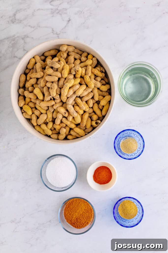 Ingredients for Creole Boiled Peanuts including raw peanuts, Creole seasoning, kosher salt, smoked paprika, garlic powder, onion powder, and water.