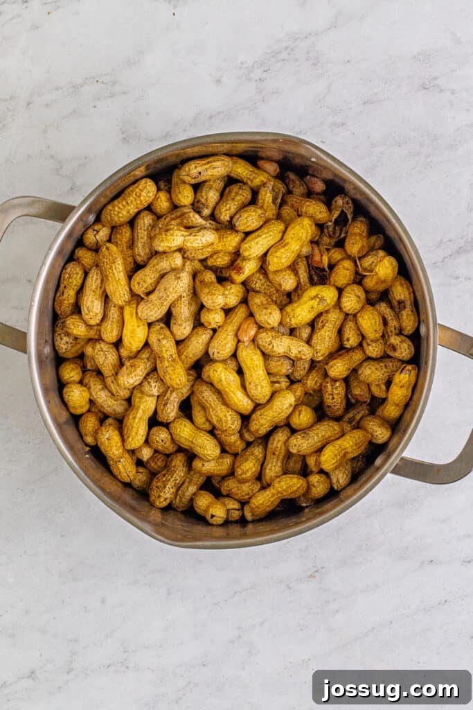 Raw peanuts in a large stockpot before making Creole Boiled Peanuts.