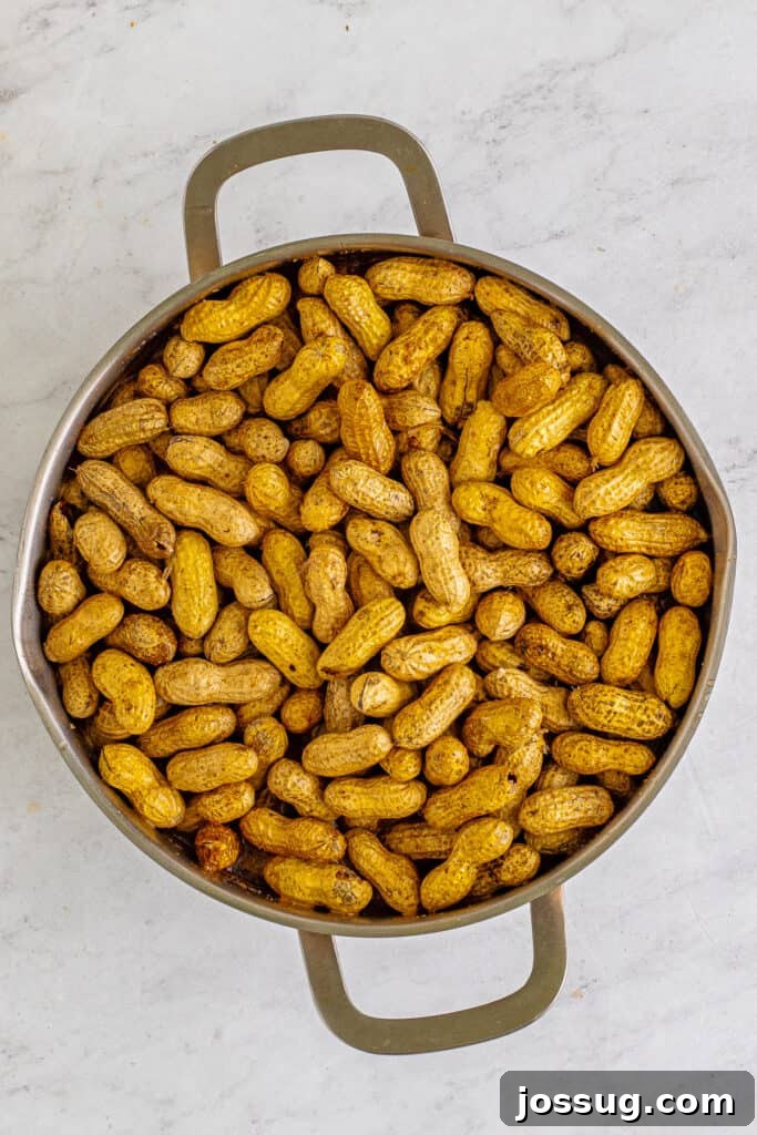 Raw peanuts covered with seasoning before adding enough water to cook.