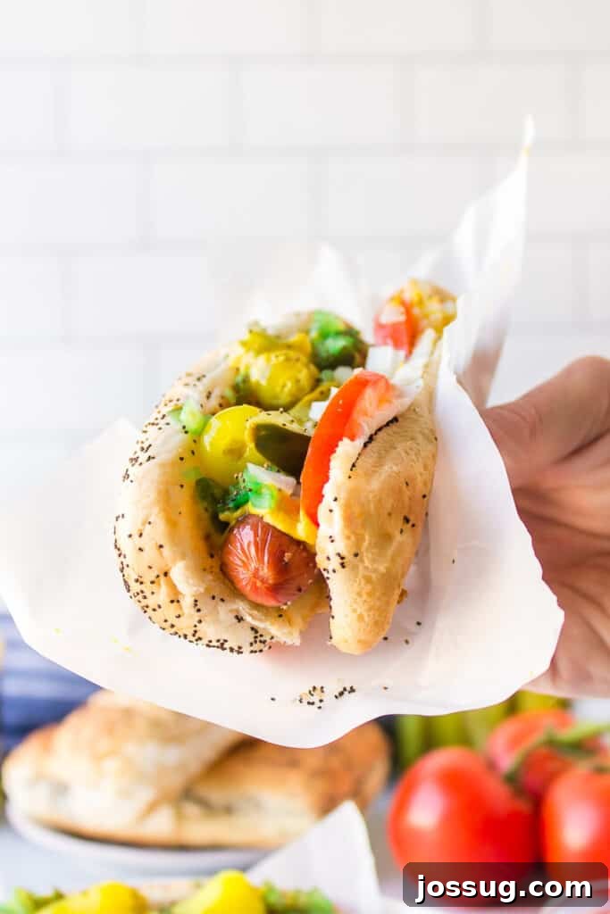 Hand holding an authentic Chicago Hot Dog topped with mustard, sweet relish, sport peppers, pickle spear, tomato, onion, and celery salt