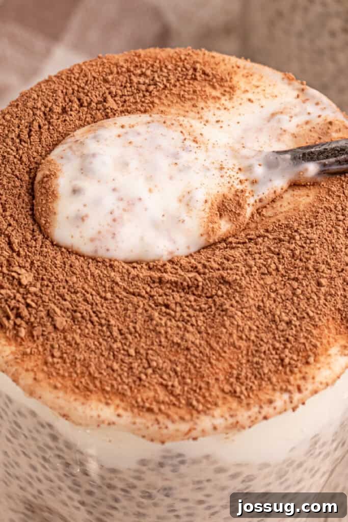 Tiramisu Chia Pudding Recipe: Coffee Cream Breakfast or Dessert 7 Spoonful of creamy Tiramisu Chia Pudding with a rich cocoa topping