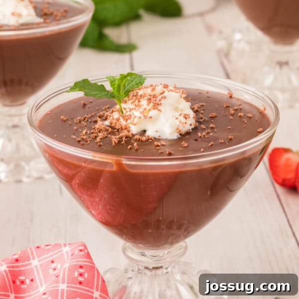 Tiramisu Chia Pudding Recipe: Coffee Cream Breakfast or Dessert 9 chocolate pudding garnished with whipped cream and mint