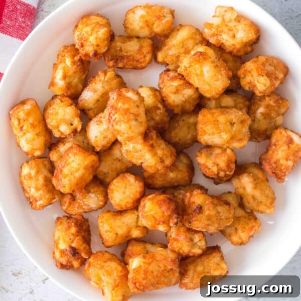 Homemade Fry Sauce Recipe: Tangy Dipping Sauce 11 Crisp, golden tater tots piled in a white bowl on a light textured surface.