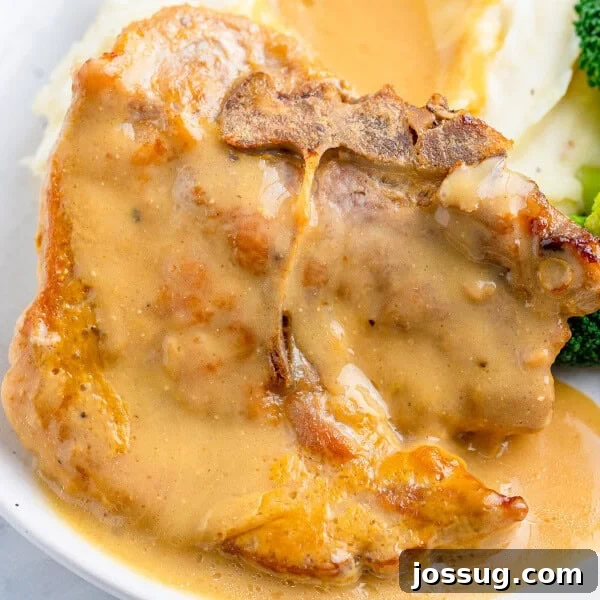Homemade Fry Sauce Recipe: Tangy Dipping Sauce 12 Easy Baked Pork Chops in Gravy