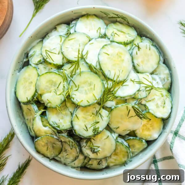 Square crop of cucumber salad with sour cream and dill in a white bowl