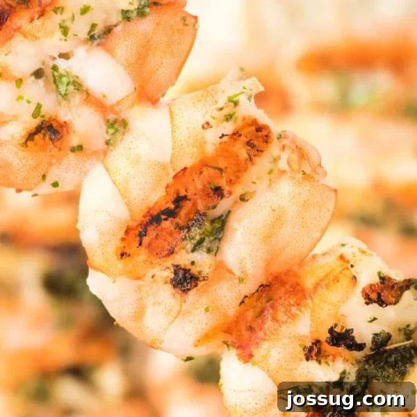 Grilled shrimp skewers with herbs