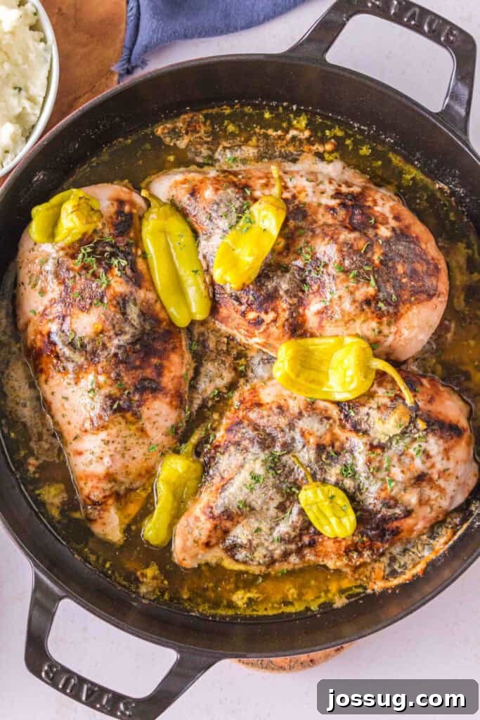 Smoked Mississippi Chicken with Ranch and Pepperoncini 10 Finished smoked chicken breasts with pepperoncini and savory butter sauce in a cast iron skillet