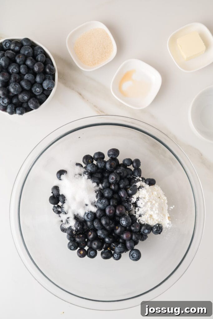 Rustic Fresh Blueberry Galette Recipe 5 Fresh blueberries with granulated sugar and cornstarch in a glass mixing bowl