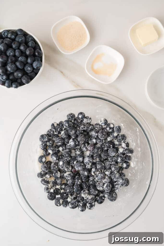 Rustic Fresh Blueberry Galette Recipe 6 Fresh blueberries tossed with sugar and cornstarch for Blueberry Galette filling