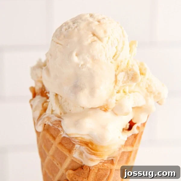No-Churn Salted Caramel Ice Cream